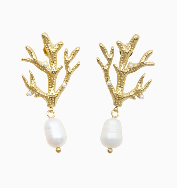 Island Coral Earrings