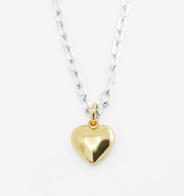 Mixed Metal Heart Necklace