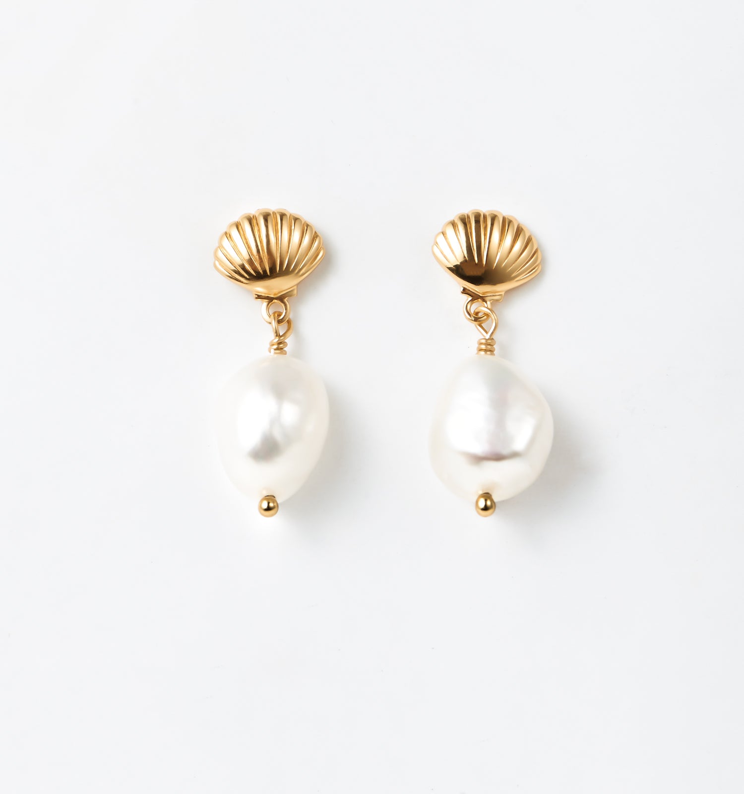 Scallop Shell Earrings