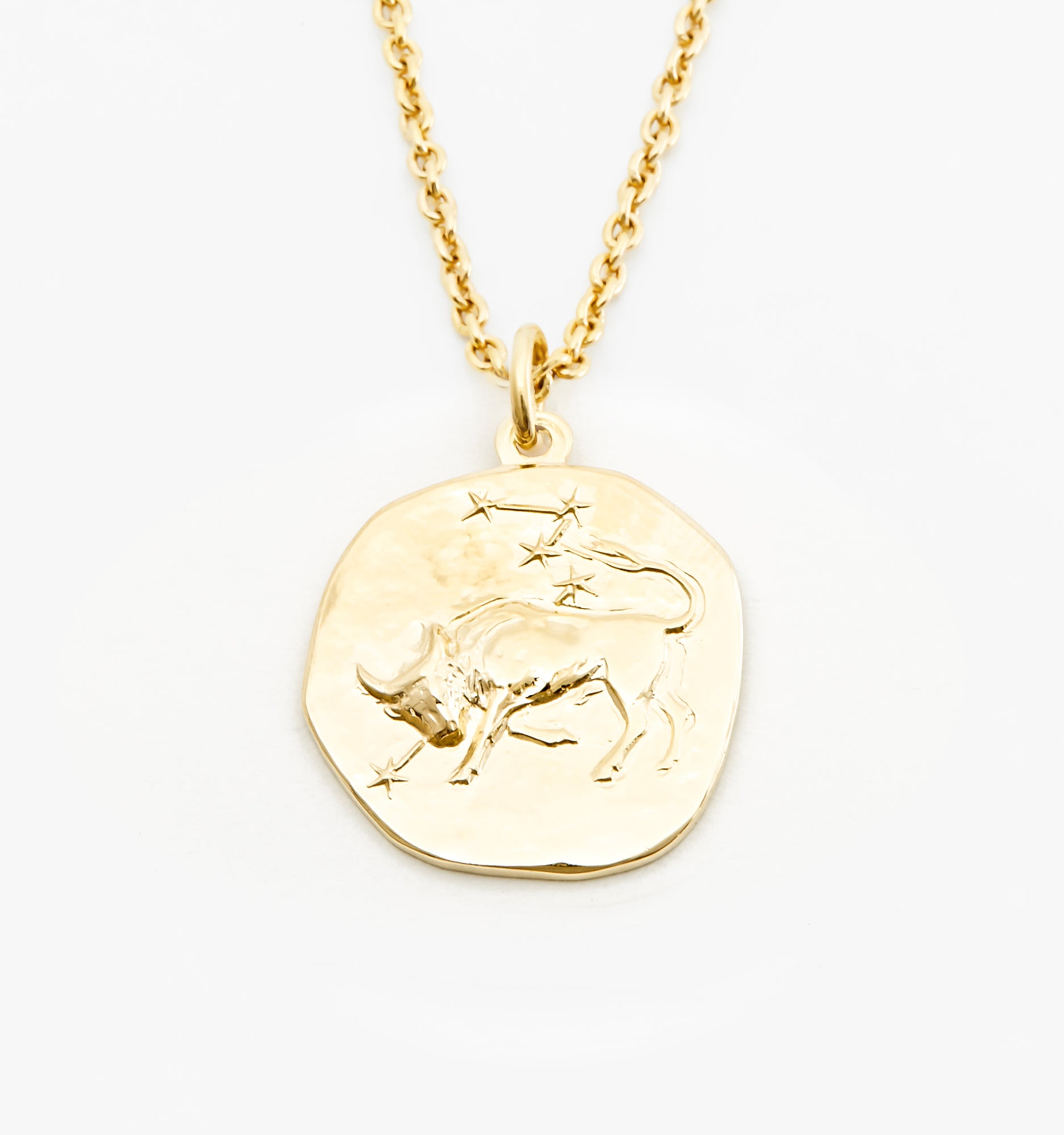 Taurus Necklace- Eriness Jewelry